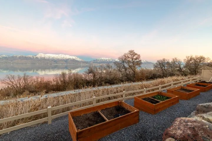Landscaped garden area featuring four raised garden beds
