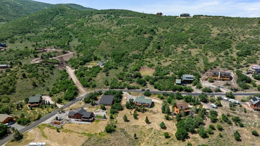 Expansive hillside property with varied terrain and mature green foliage