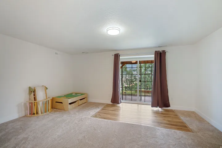 Spacious room featuring light-toned carpeting and an inset wood-finish flooring section