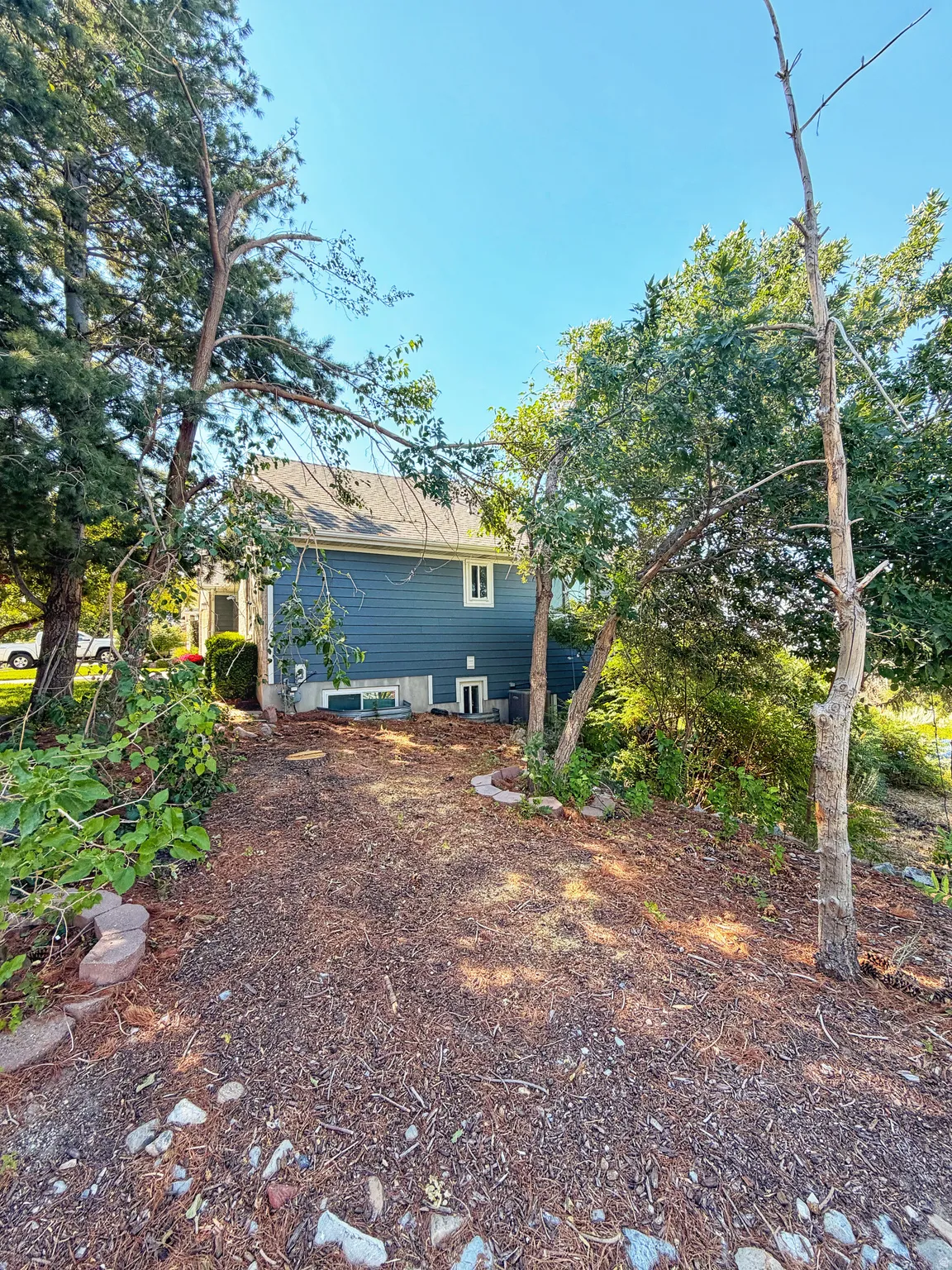 Rear property exterior featuring blue siding, white trim, and a gabled roofline