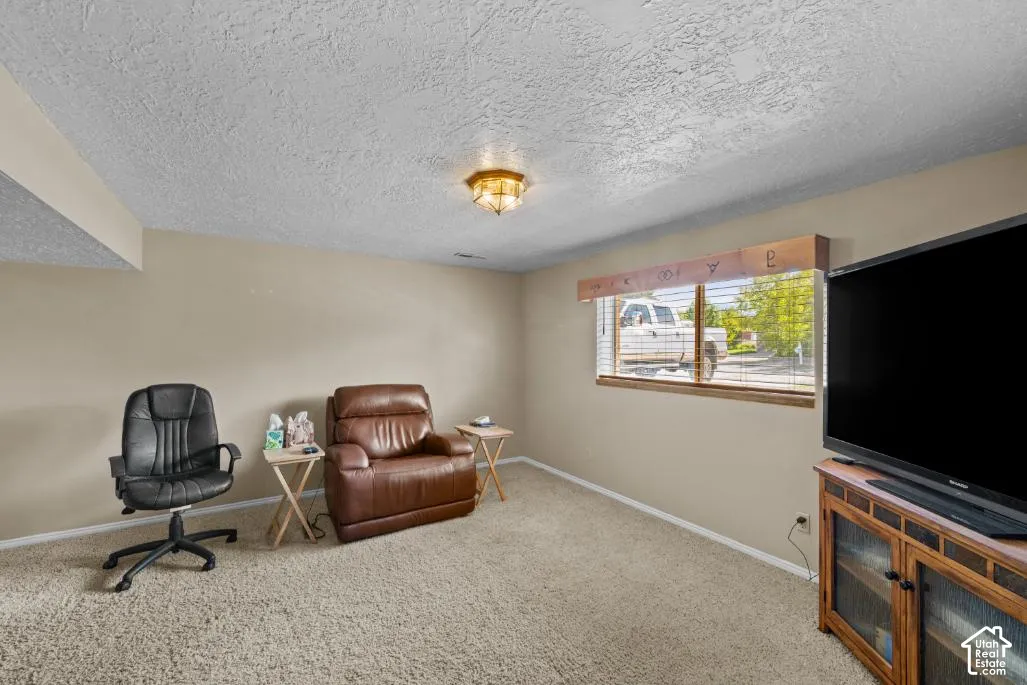 Versatile bonus room featuring neutral carpet flooring, a textured ceiling with recessed lighting, large windows with natural light, and a built-in entertainment center with wood cabinetry and media display