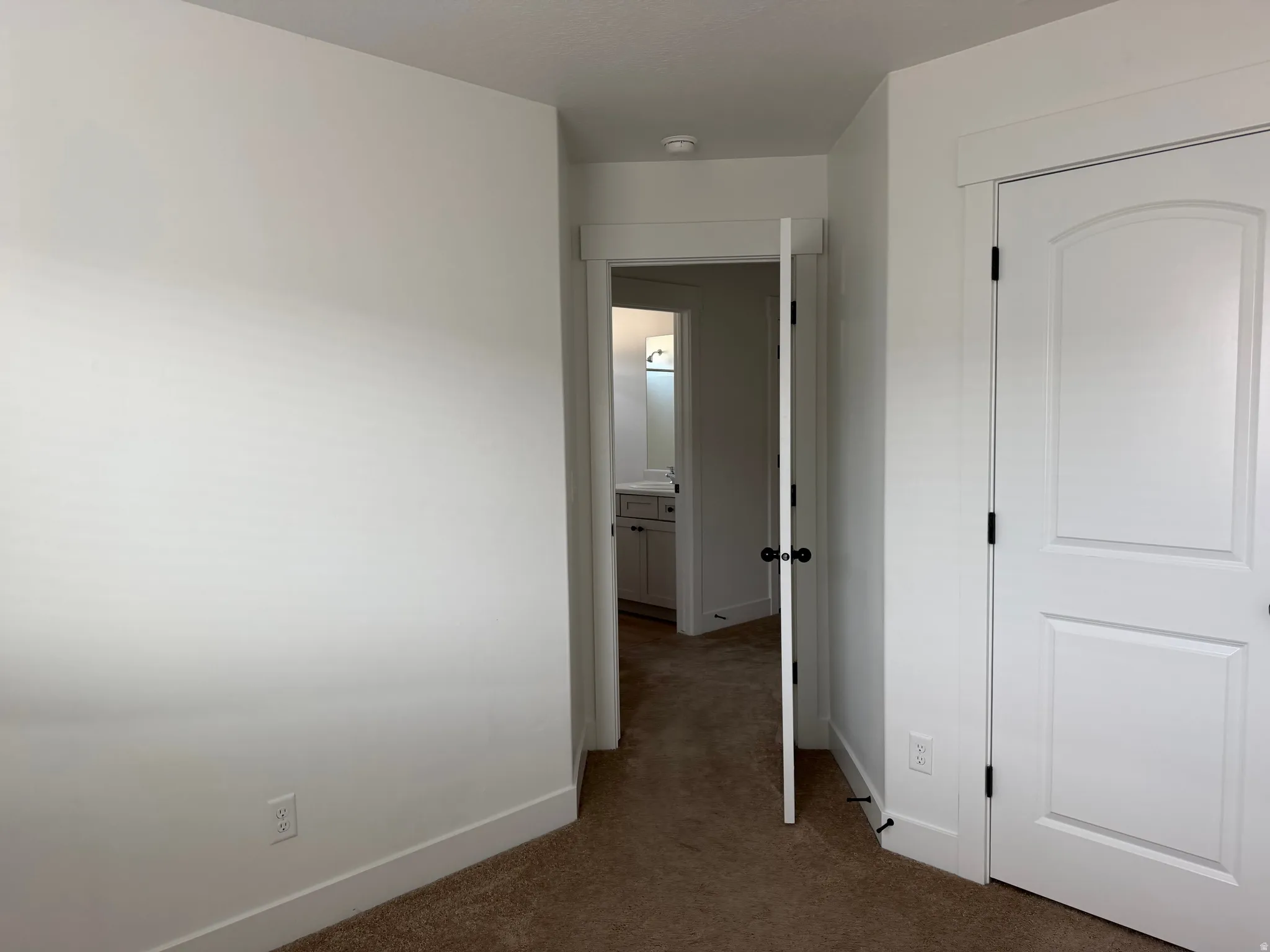 Carpeted interior space featuring white walls and white trim