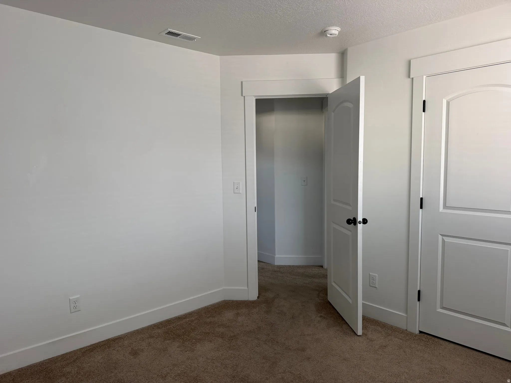 Spacious bedroom with neutral wall finishes, brown carpet flooring, and abundant natural light from multiple windows