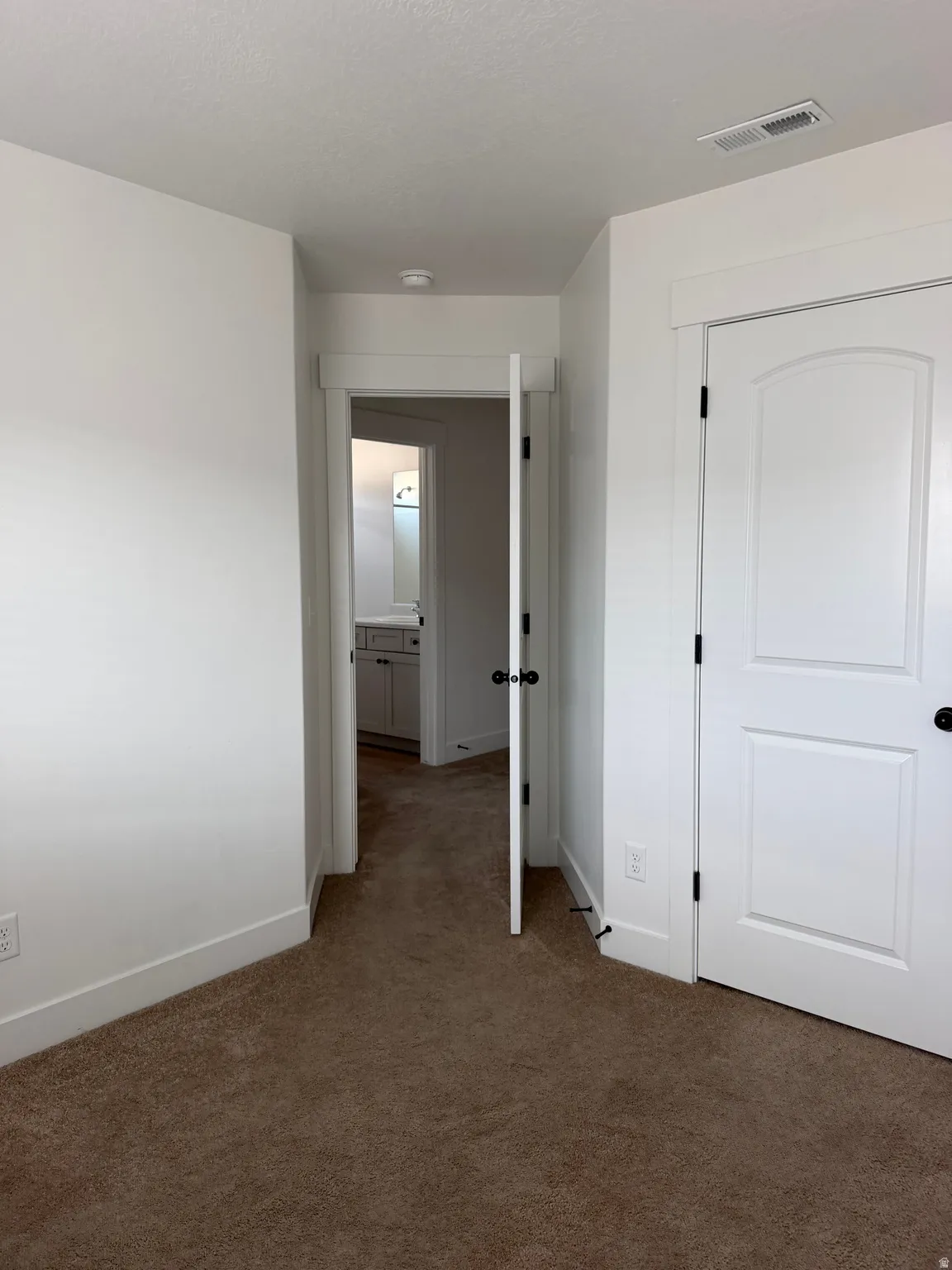 Brown carpeting with white baseboards and trim throughout