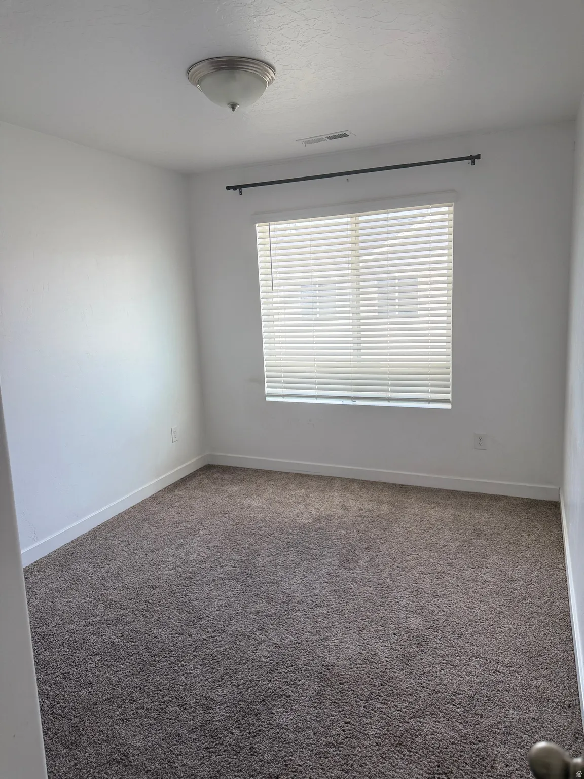 Carpeted room featuring a window with blinds and a ceiling-mounted light fixture