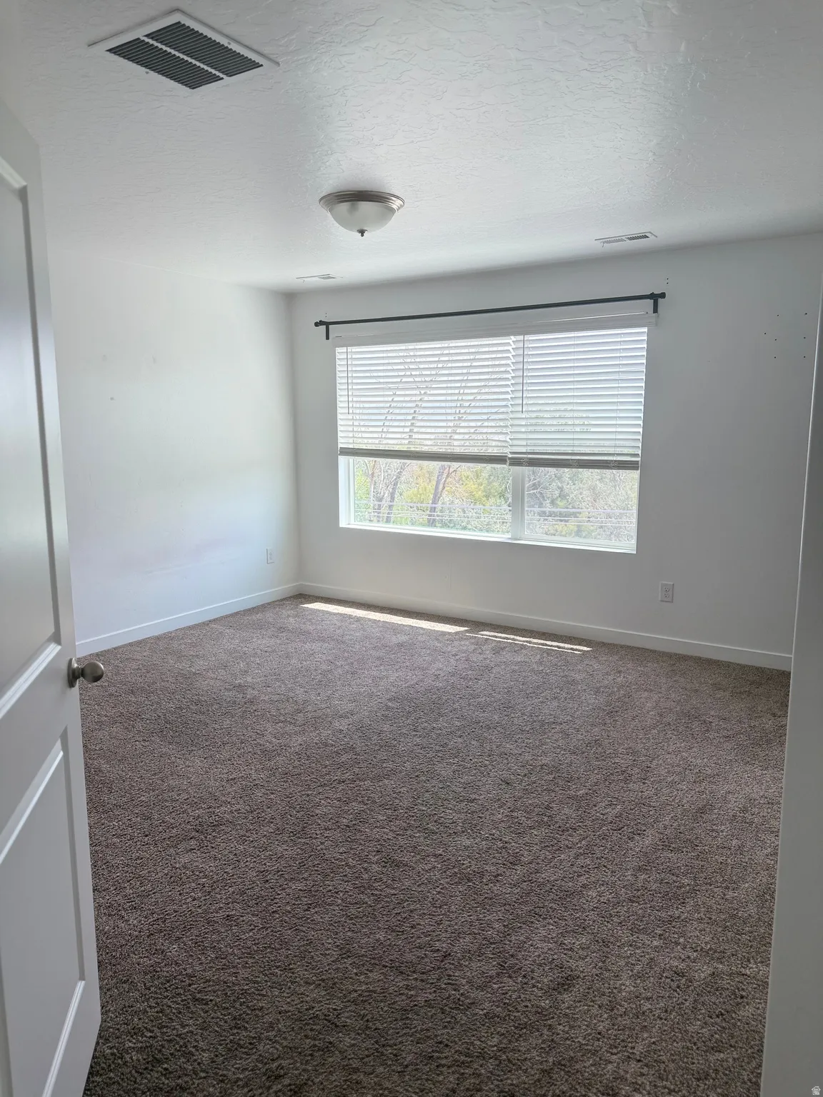 Spacious room featuring plush brown carpeting, a large window with horizontal blinds, a ceiling-mounted light fixture, and white painted walls