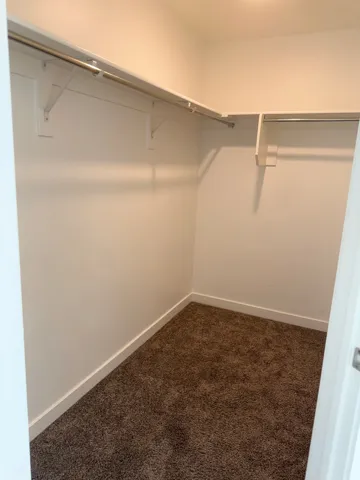 Walk-in closet with integrated shelving, chrome hanging rods, bright white walls, white trim, and brown carpet flooring