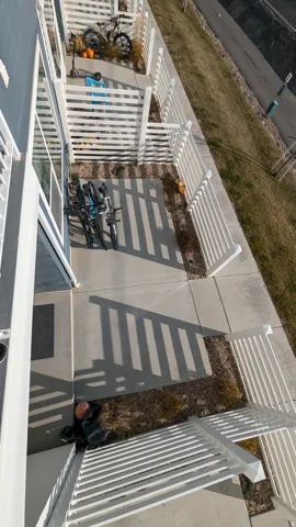 Ground-level patio with white slatted fencing, concrete paving, and landscaped beds