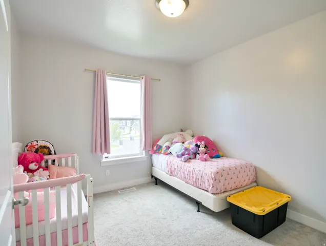 Neutral wall paint, carpet flooring, a window with natural light, a ceiling-mounted light fixture, and white baseboards