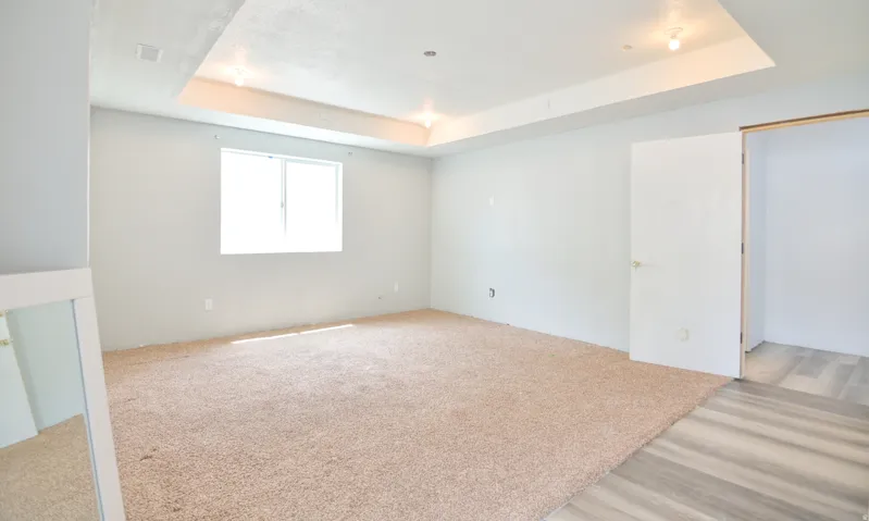 Spacious room featuring a tray ceiling with recessed lighting, light-colored carpeting, a large window, and an adjacent area with wood-finish flooring