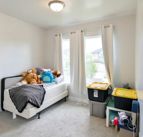 Bright room featuring two windows, light gray walls, a flush-mount ceiling light, and light-colored carpet