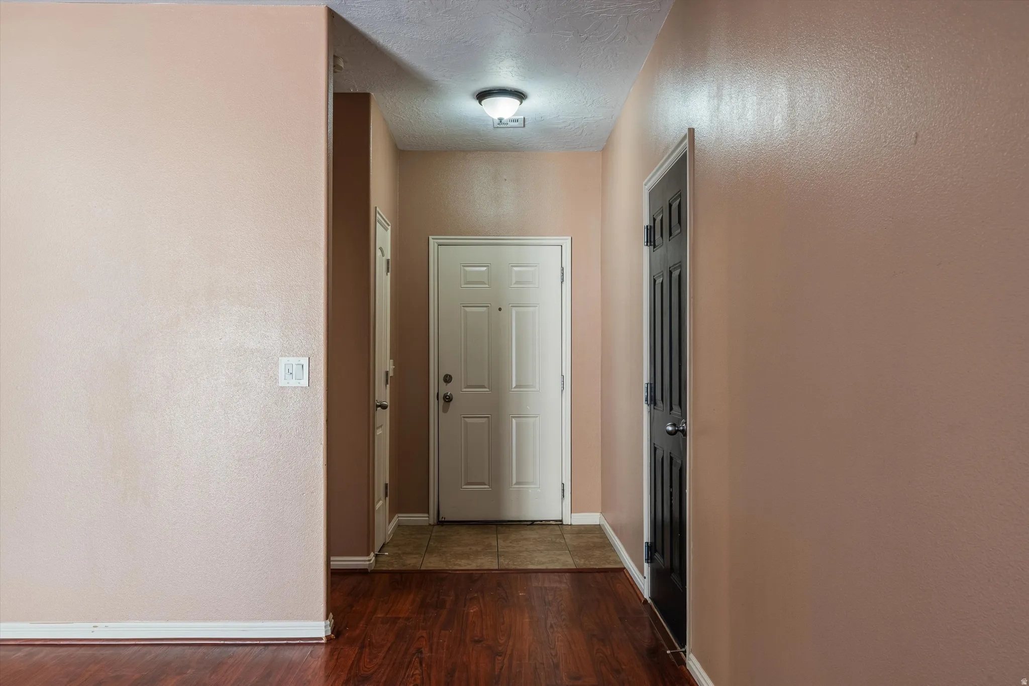 Entryway featuring a white paneled door, a dark paneled door, and a flush mount ceiling light
