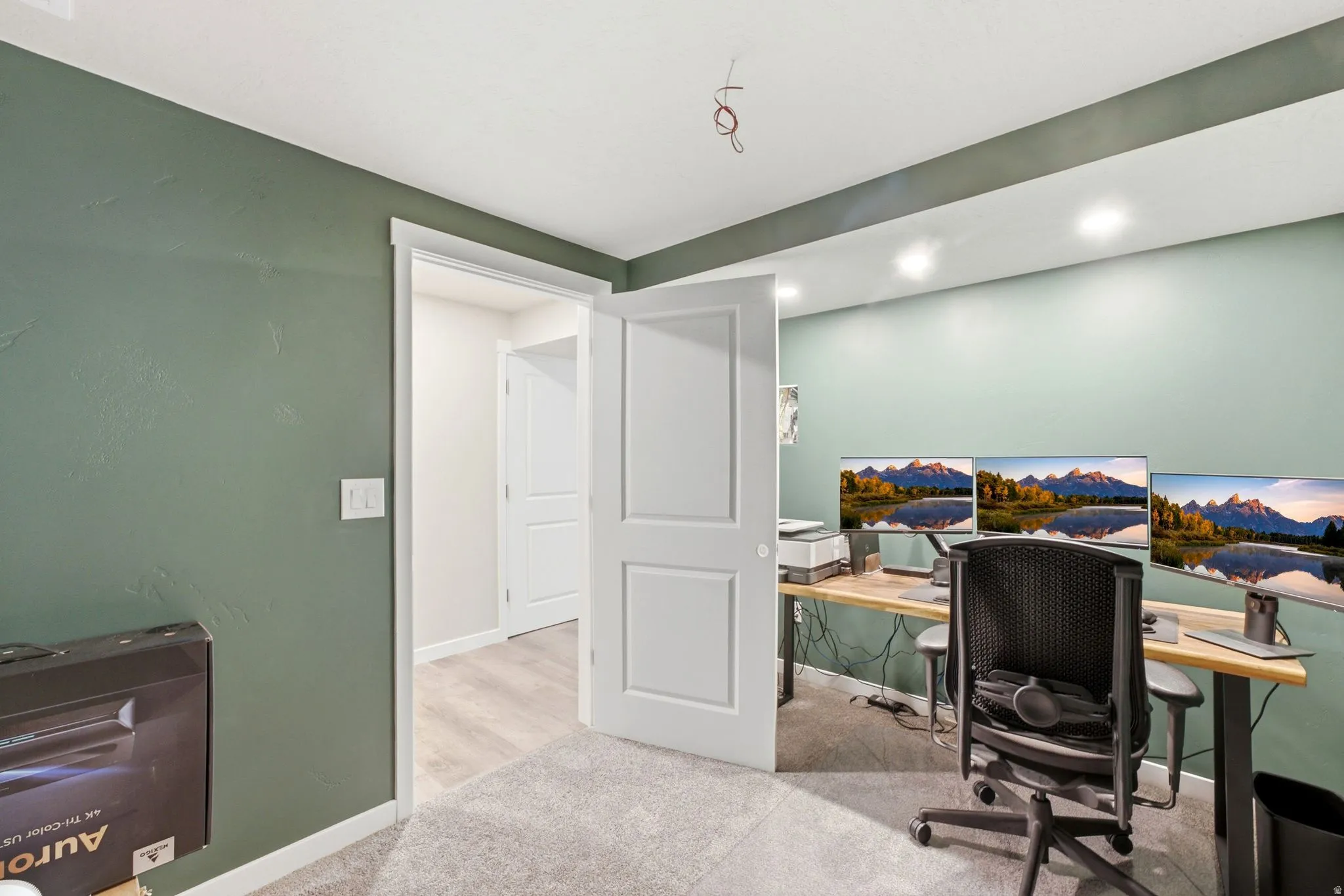Dedicated room featuring a neutral carpet flooring and white trim