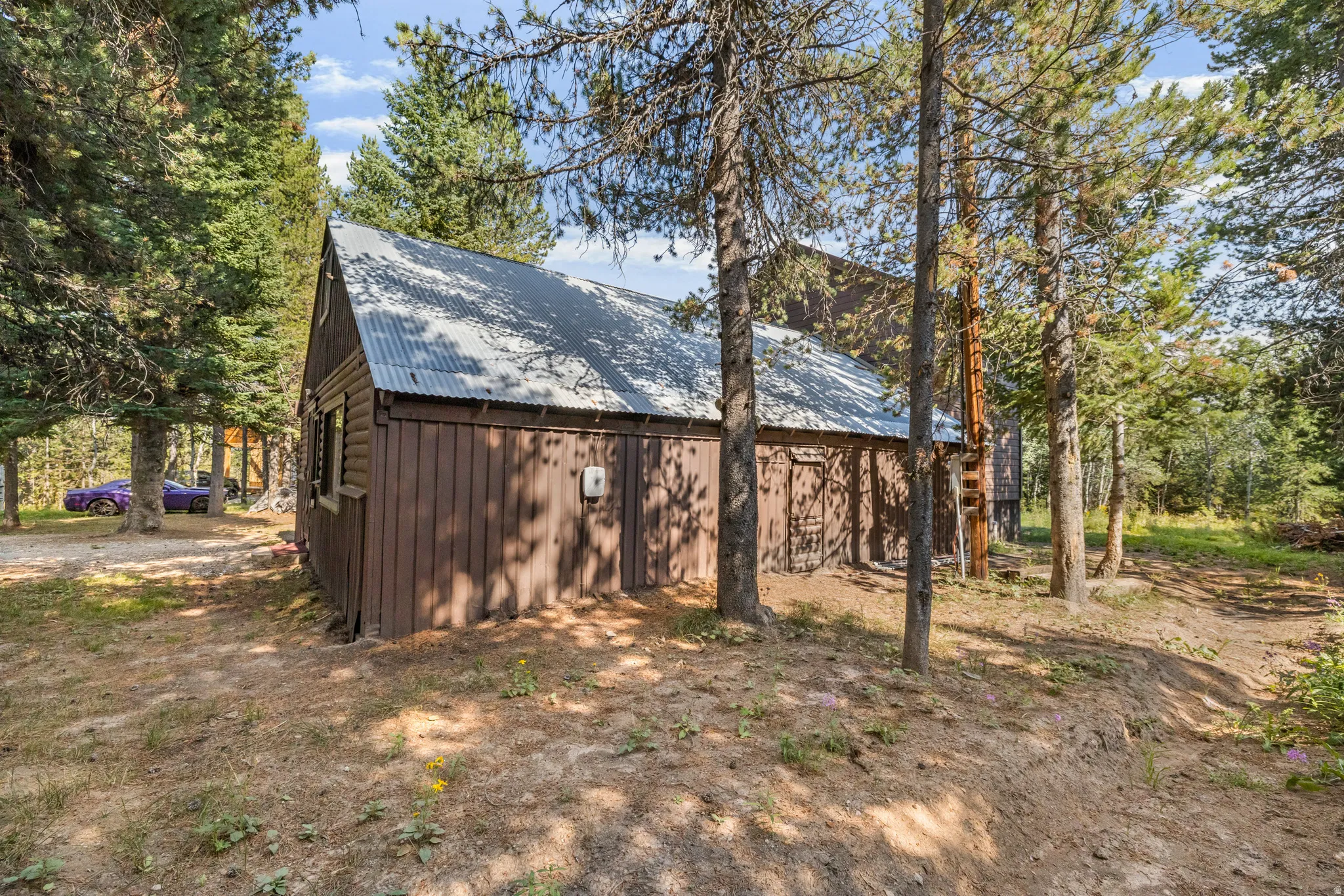 Wood-sided structure with a corrugated metal roof, surrounded by mature pine trees and natural terrain