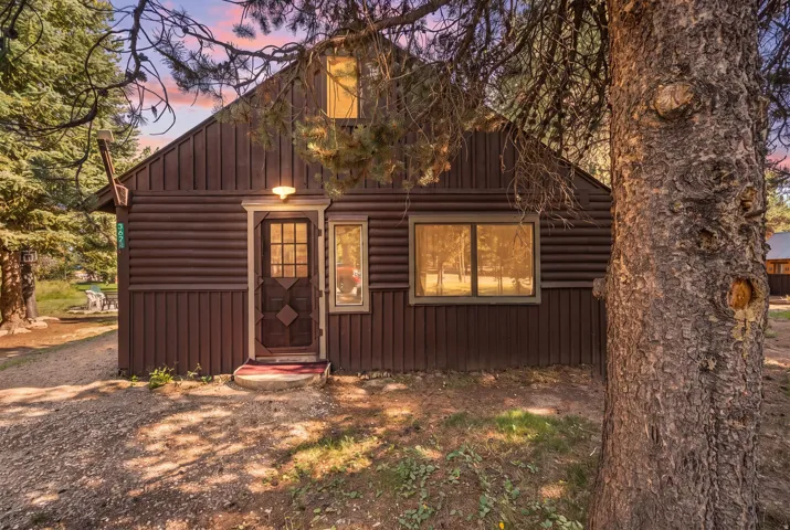 Rustic cabin exterior featuring dark wood-finish siding, a gabled roofline, and multiple windows