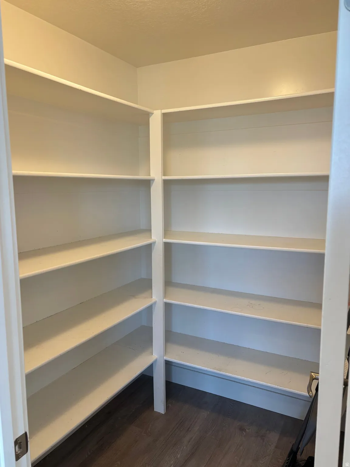 Walk-in pantry featuring extensive white shelving and wood-finish flooring