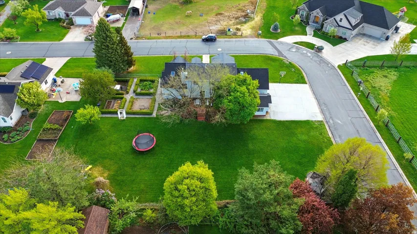Expansive green lawn with mature landscaping and established garden beds