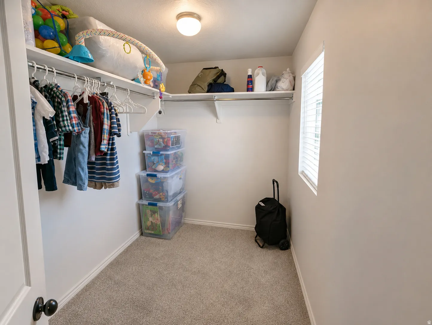 Spacious walk-in closet featuring light-colored carpeting, white walls, and a ceiling-mounted light fixture