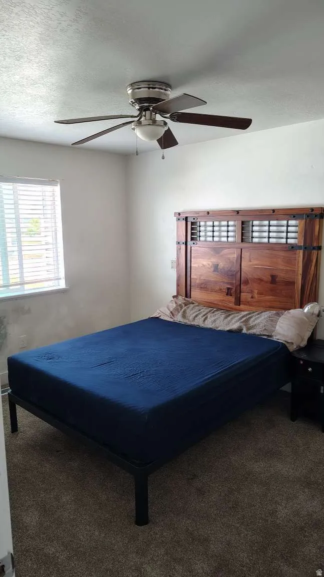 Ceiling fan with integrated lighting, window with horizontal blinds, and carpeting