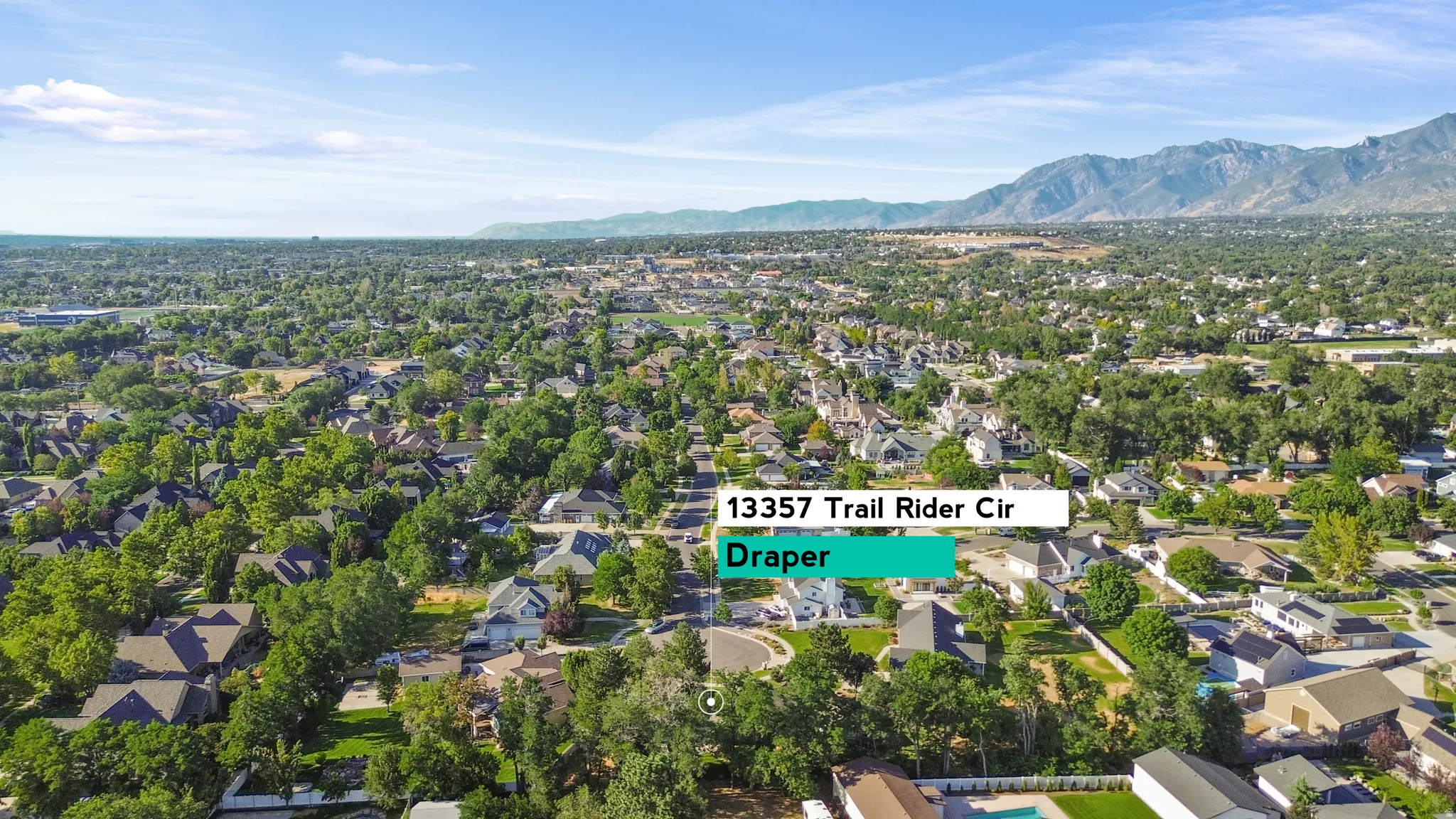 Expansive aerial view showcasing a verdant residential area with mature trees and a distant mountain range backdrop