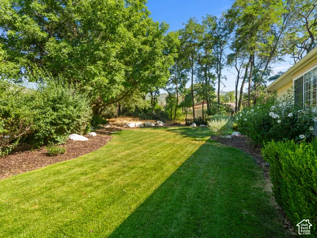 Expansive lawn area with mature trees and established landscaping featuring shrubs, flowering bushes, and decorative rocks