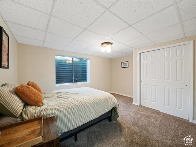 Carpeted room featuring a drop ceiling, a horizontal window with blinds, and white bi-fold closet doors
