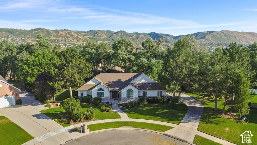 Expansive property with a white exterior, brown shingle roof, and a mature tree canopy