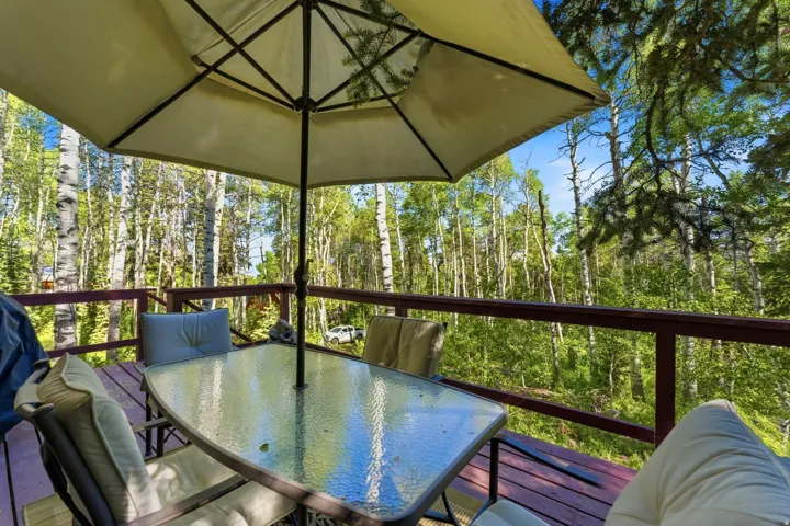 Outdoor deck featuring a glass-top dining table, surrounded by mature deciduous trees