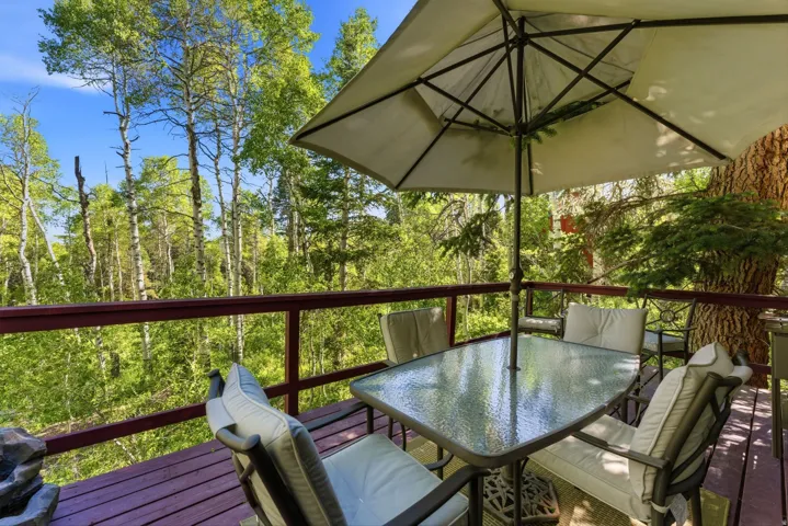 Expansive outdoor deck with a wood-plank surface and a red-stained railing overlooking a dense tree line