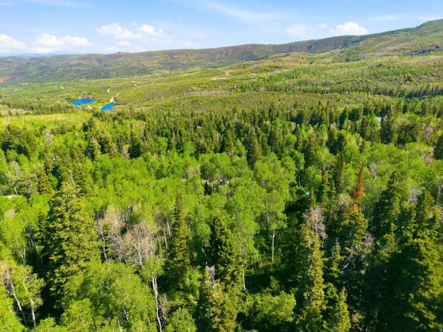 Expansive natural landscape with dense forestation and distant mountains