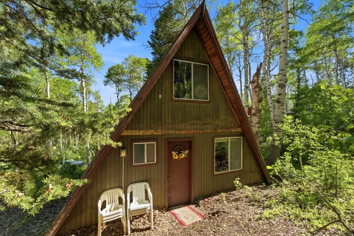 A-frame exterior featuring a dark brown door, multiple windows, and a surrounding natural landscape with mature trees