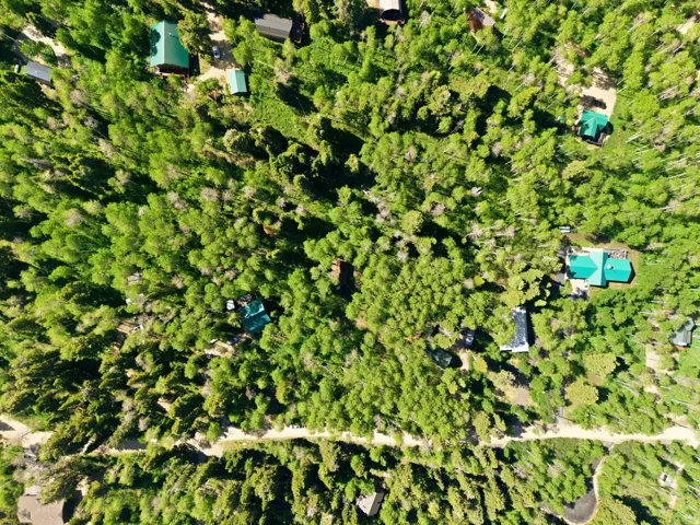 Aerial landscape showcasing multiple residential structures nestled within a dense, vibrant green forest