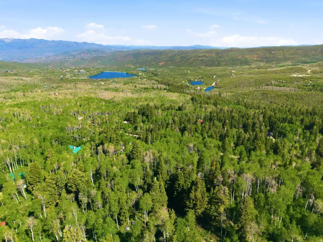 Expansive forested landscape featuring diverse tree cover and distant mountain ranges