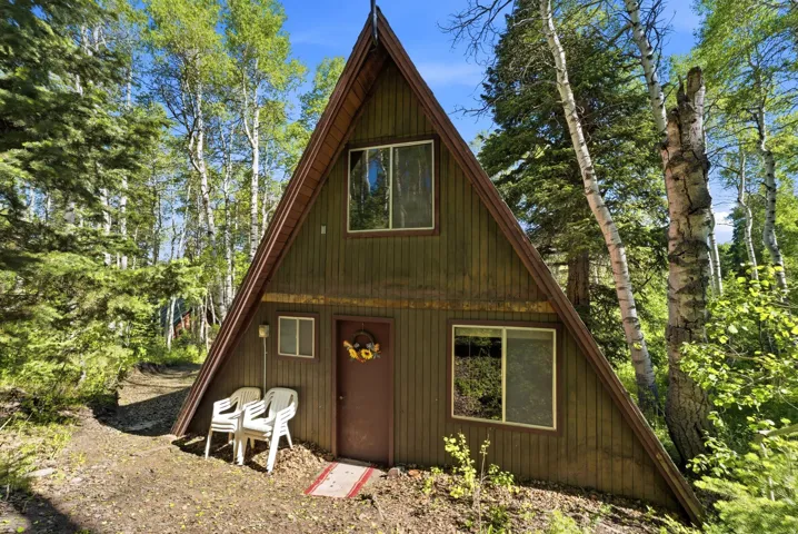 A-frame exterior with vertical wood siding and a deep brown front door