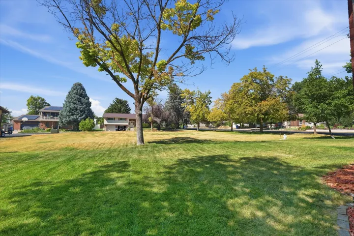 Expansive outdoor space featuring a large lawn area and mature trees