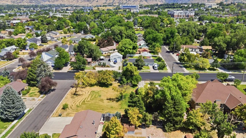Expansive lot featuring mature trees and a substantial graded area