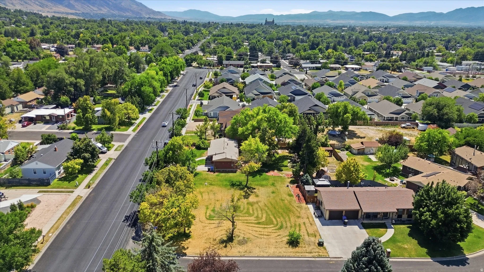 Expansive aerial perspective showcasing a residential neighborhood with varied architectural styles and mature tree canopies