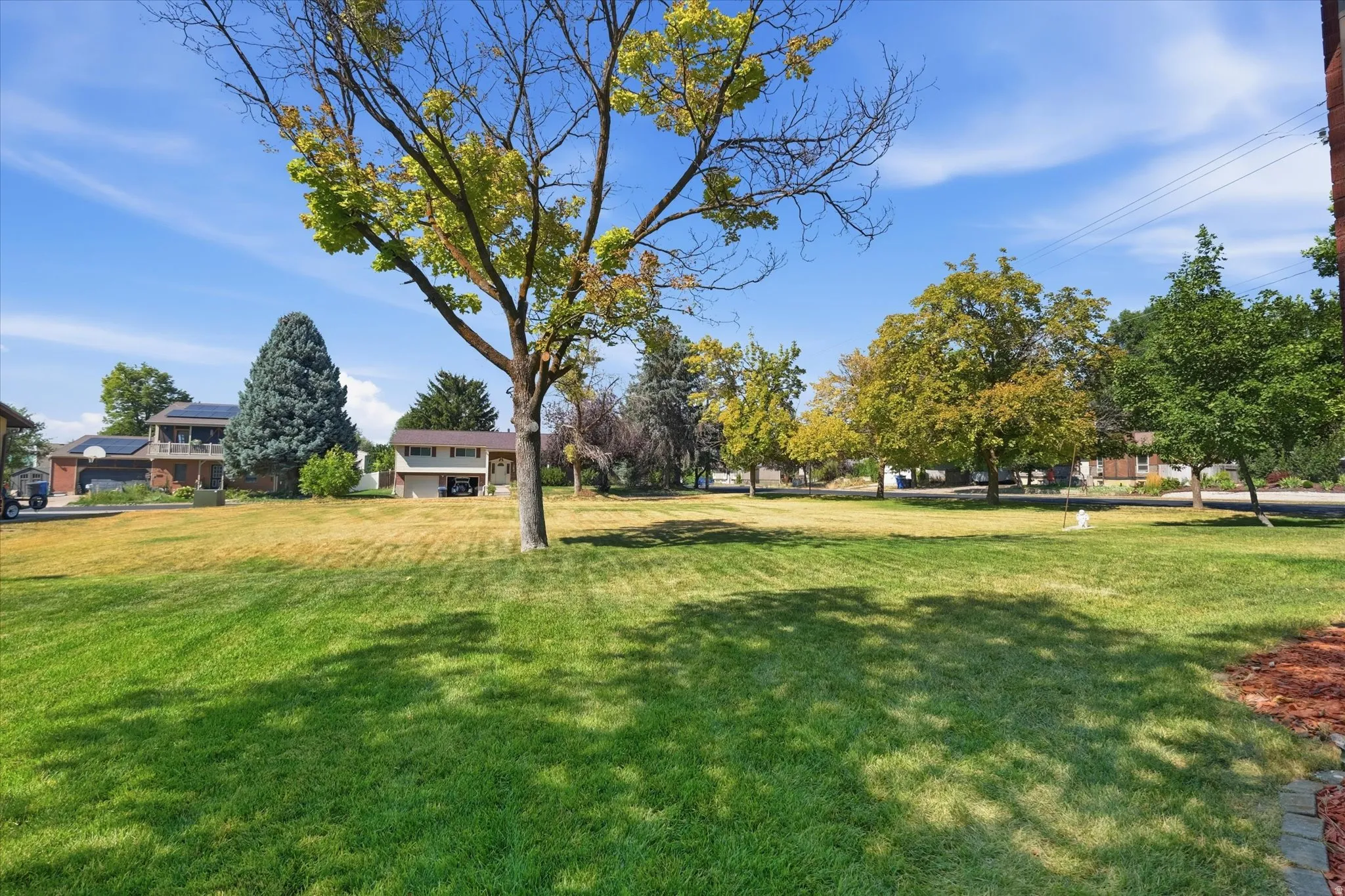 Expansive lawn area featuring mature trees and established landscaping