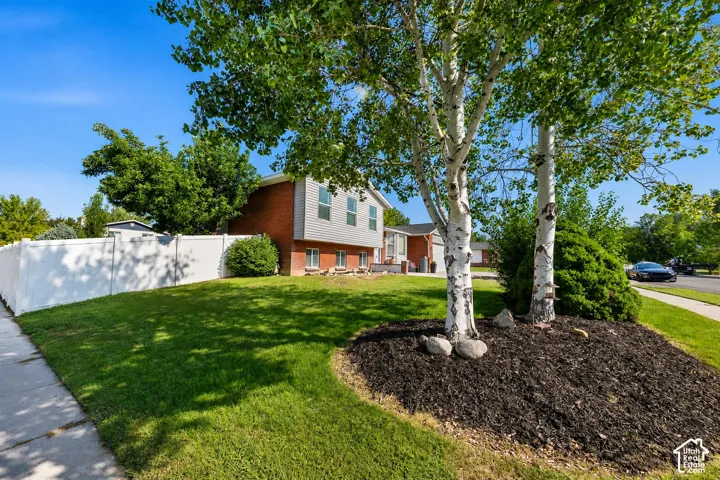 Manicured front yard with mature birch trees and dark mulch landscaping