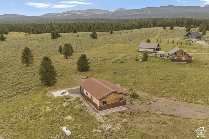 Charming wood-sided cabin situated on expansive grounds with mature coniferous forest backdrop