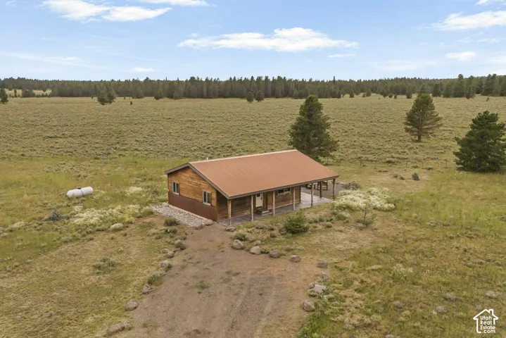 Charming wood-sided cabin situated on expansive grounds with mature evergreen trees and open meadowland