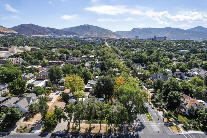 Expansive aerial perspective showcasing a verdant residential area with mature tree canopies