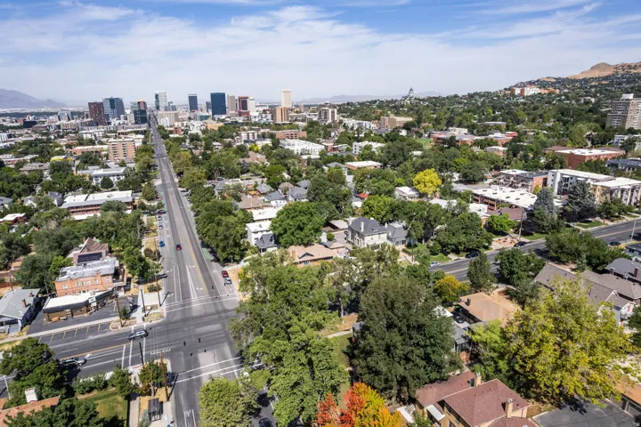 Aerial perspective showcasing a vibrant urban landscape with a prominent tree-lined thoroughfare