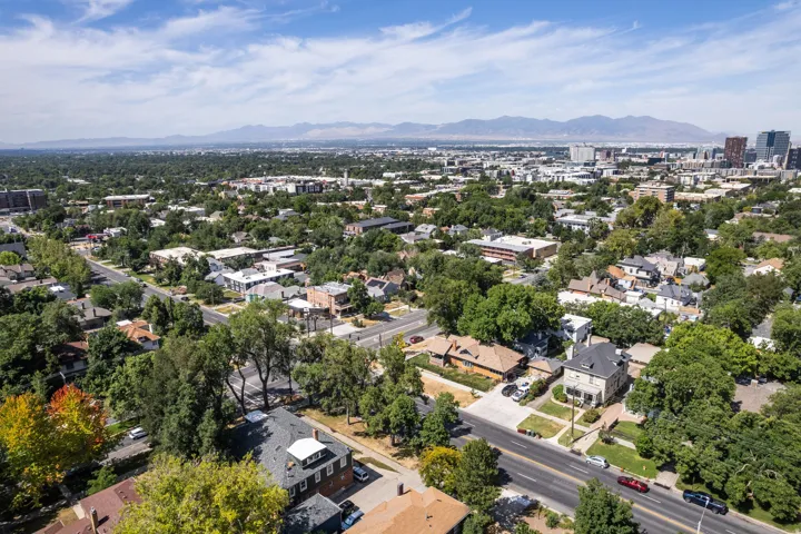Expansive aerial perspective showcasing a mature residential area with abundant tree canopy