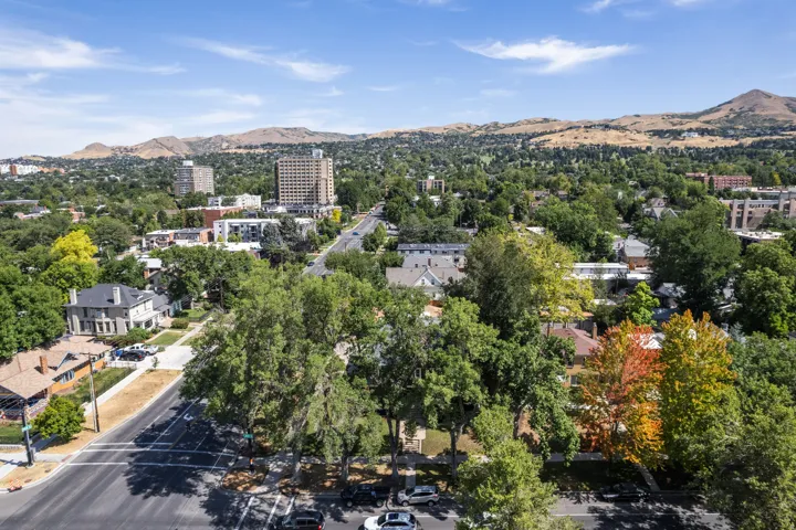 Expansive aerial perspective showcasing a verdant residential area with mature tree canopies