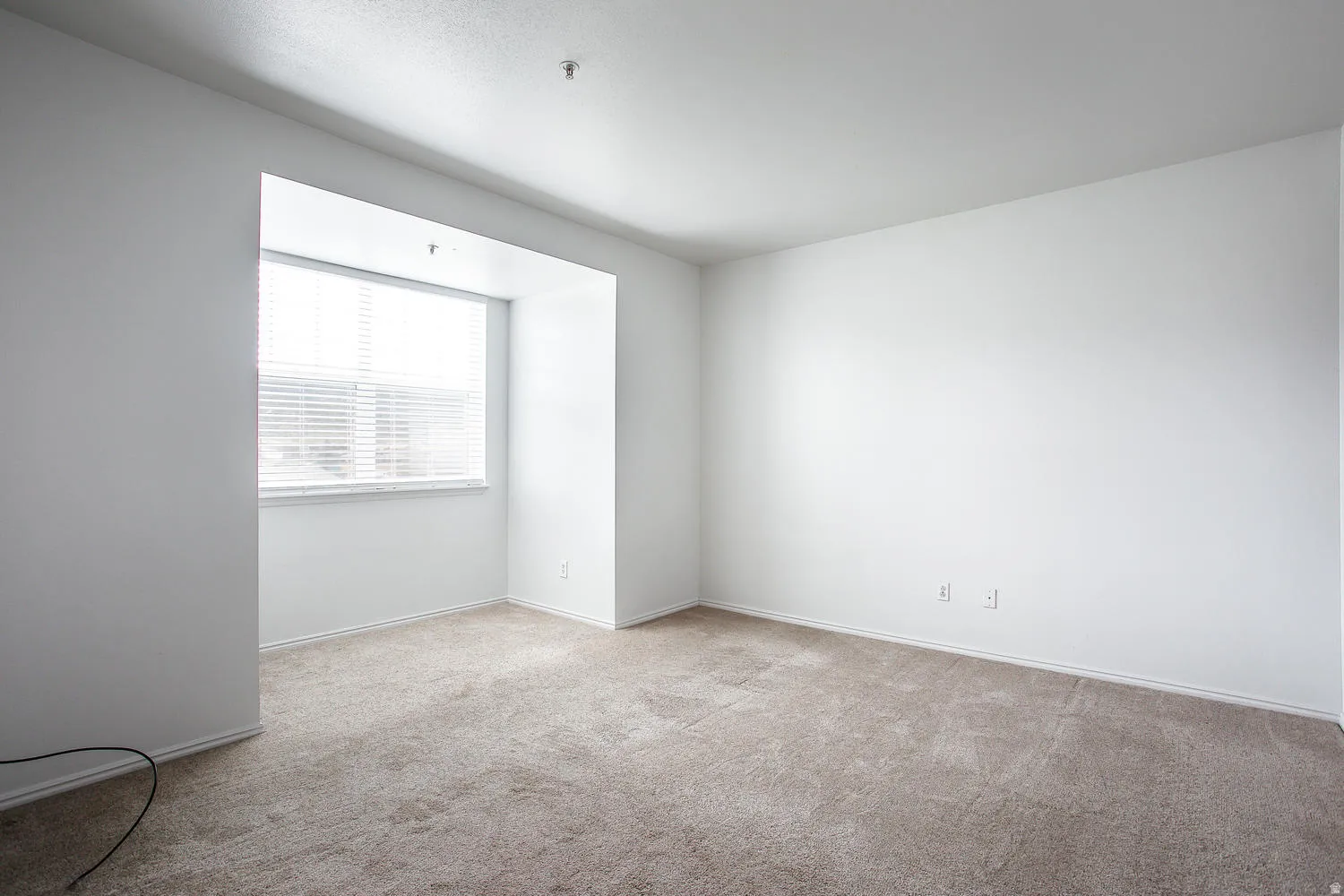 Bright corner room featuring neutral wall finishes, carpet flooring, and abundant natural light from a large window with horizontal blinds