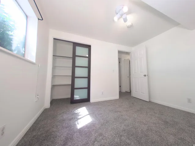 Room featuring light gray carpet, white painted walls, and a modern sliding closet door with frosted glass panels