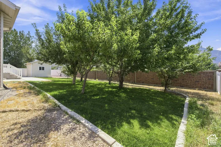 Spacious backyard featuring a mature tree canopy, lush green lawn, and brick perimeter fencing