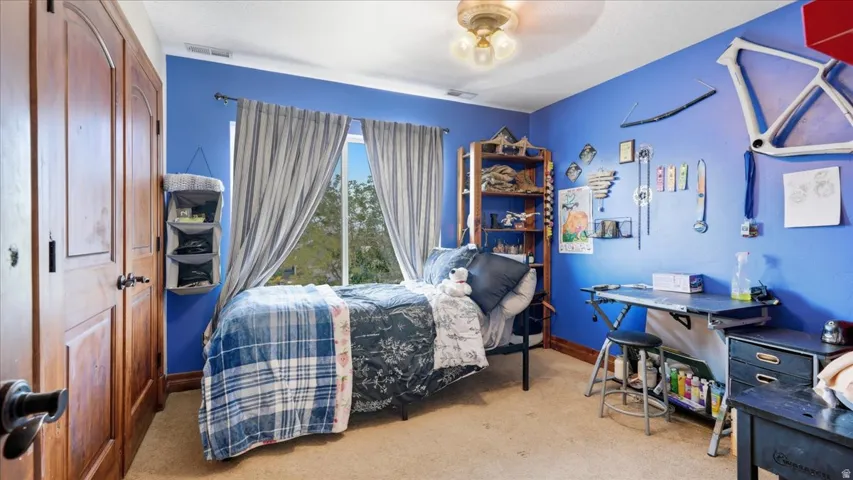 Room featuring a wide window, wood-finish bi-fold closet doors, carpeted flooring, and a ceiling-mounted light fixture