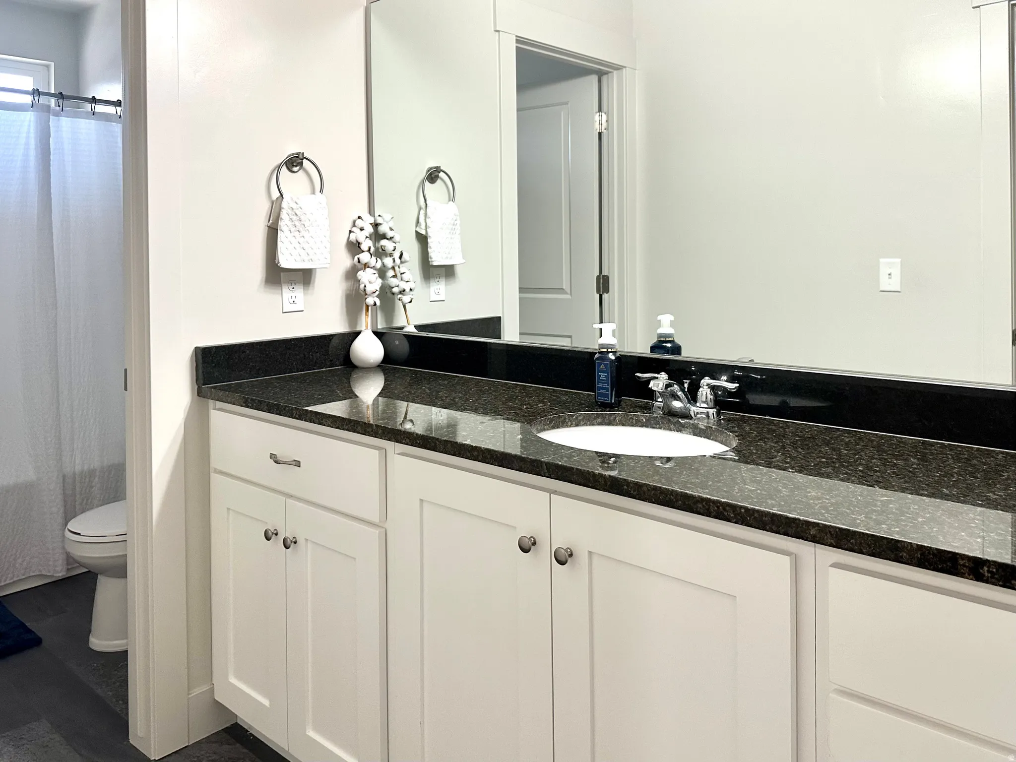 Hall Bathroom